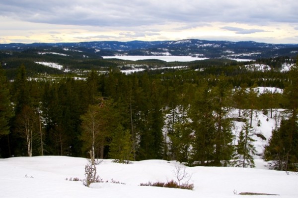 GLØD. Utsikten fra Glotjernkollen nordover mot Helgeren og Nordmarka. Foto: VESLE-BERNHARD