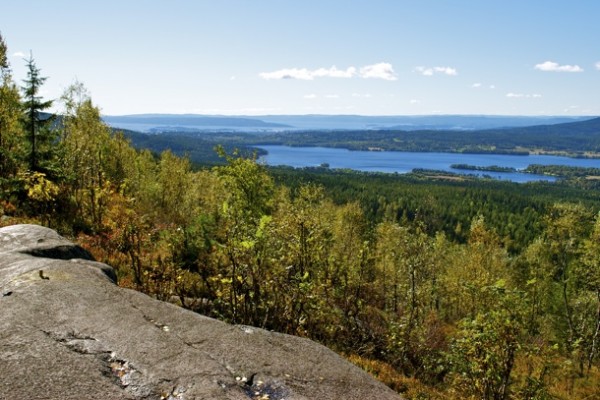 Barlindaasen2010