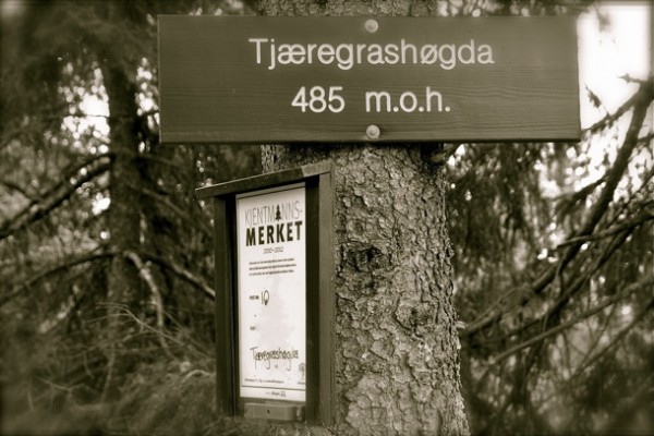 Tjæregrashøgda