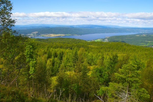 DET LAMANNEN SER. Ved den forbløffende utsikt over Randsfjorden med mer. Foto: VESLE-BERNHARD