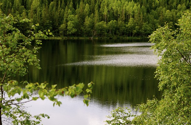Abbortjern nord for Storflåtan