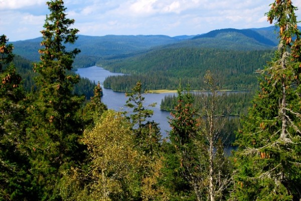 SPÅLEN sett fra Lortholkollen en høysommerdag, Foto: VESLE-BERNHARD