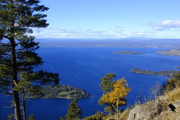 Helt vest i Krokskogen.