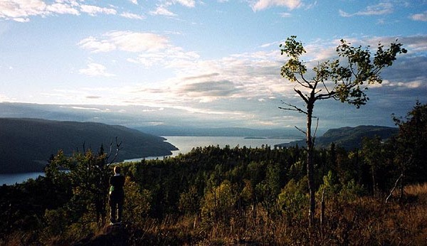 Høgbrennåsen