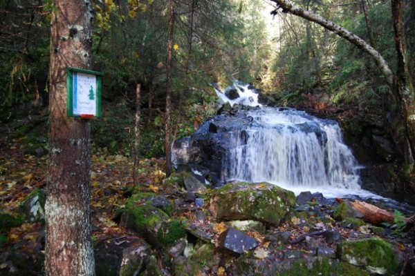 Kvennhølet
