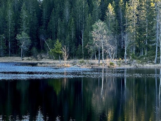 Fyrstelig farvann