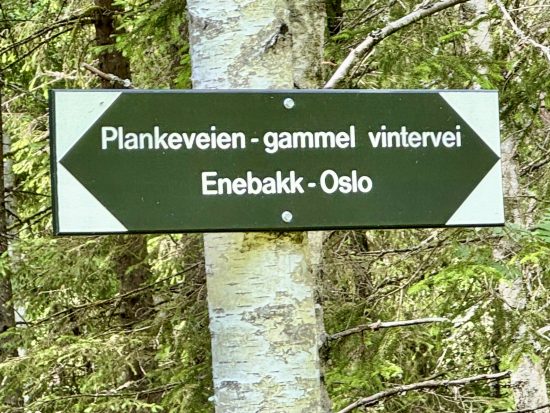 Rein plankekjøring