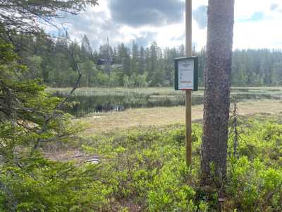 Noreledningen