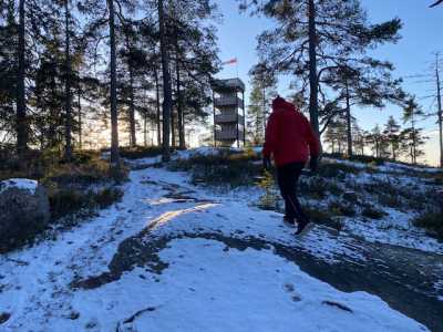 Mjærskogkollen med tårnet Mjærskogkollen med tårnet