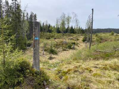 Syversdalsbrenna sti
