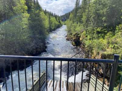 Bjørnsjøelva Bjørnsjøelva