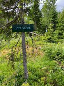Hornivollen