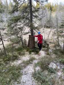 Post 26 i Finnvassdalen Post 26 i Finnvassdalen
