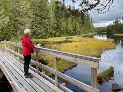 Utsikt fra post 39 Smalgjermenningen Utsikt fra post 39 Smalgjermenningen