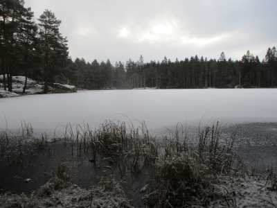 Rundvann