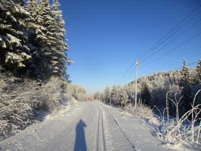Bjørnebettveien 10.01.25