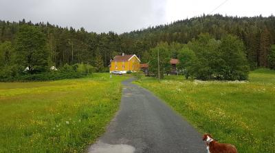 KM 18 08 1