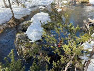 IMG 3961