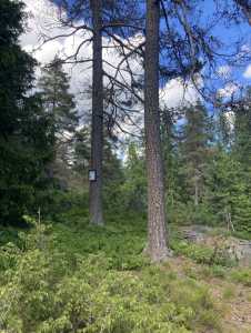 IMG 5980 1