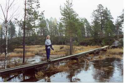 Image10 Image10