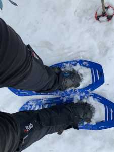 TrugerMollikåsen