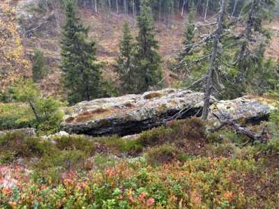 GråbergetunderAmy GråbergetunderAmy