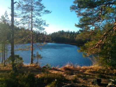 IMG 20241116 122713 6 krymp IMG 20241116 122713 6 krymp