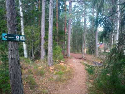 IMG 20241117 145429 1 krymp