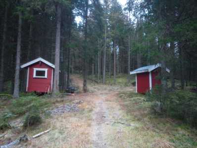 IMG 20241205 141913 5 krymp