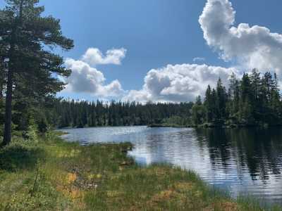 Kroktjern1 Kroktjern1
