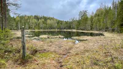 IMG 5508 IMG 5508