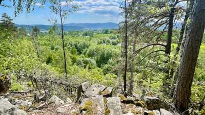 IMG 5667 IMG 5667