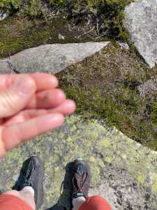 IMG 6676 IMG 6676