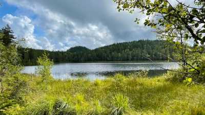 IMG 6891 IMG 6891