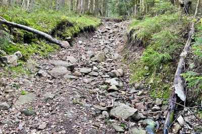 IMG 7039 IMG 7039