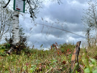 IMG 7126 IMG 7126