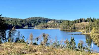 IMG 7281 IMG 7281