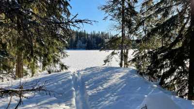 IMG 8838 IMG 8838