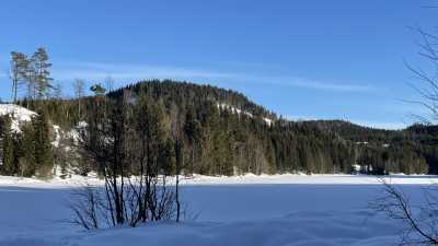 IMG 9016 IMG 9016