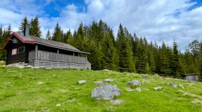 IMG 0273 IMG 0273