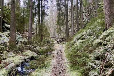 IMG 3401 IMG 3401