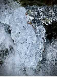 IMG 3402 IMG 3402