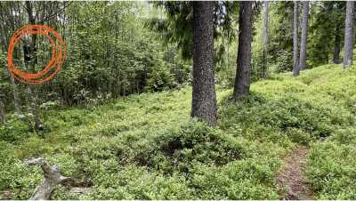 IMG 5710 IMG 5710