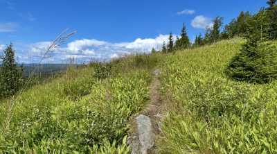 IMG 6341 IMG 6341