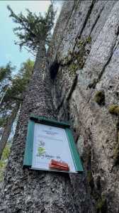 IMG 6401 IMG 6401