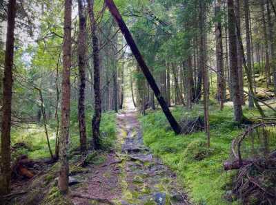 IMG 6490 IMG 6490