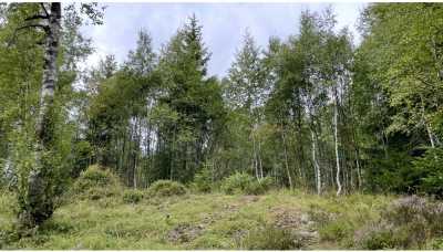 IMG 6526 IMG 6526