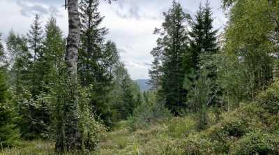 IMG 6527 IMG 6527