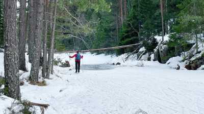 IMG 0682 IMG 0682