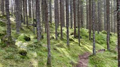 IMG 6794 IMG 6794